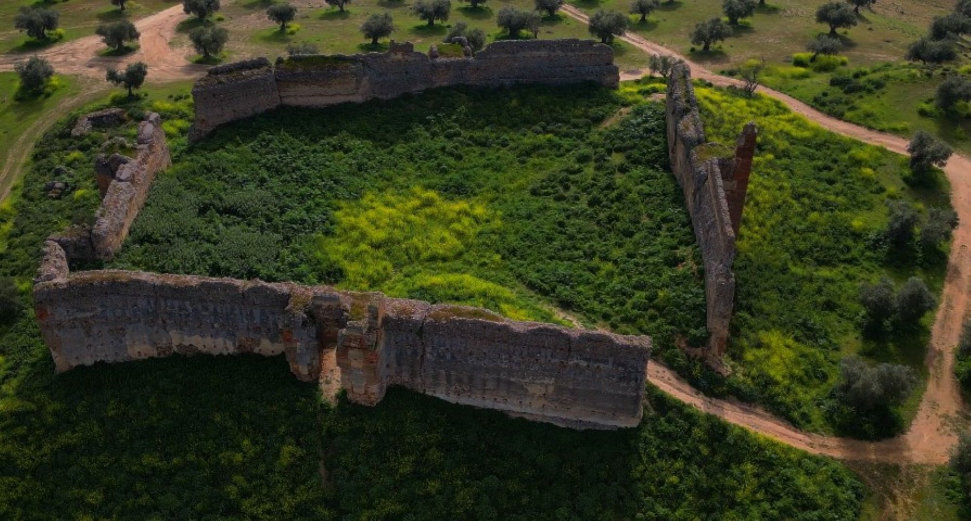 Castillo de Villalba (Cebolla)
